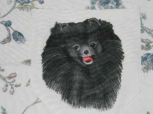 Pomeranian Bag